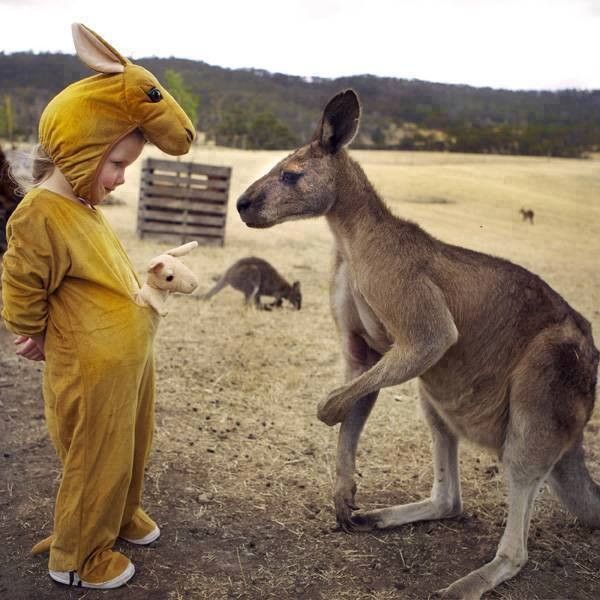 Enfant et kangourou