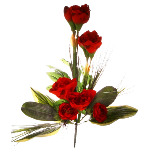 Tube ....jolies fleurs rouge